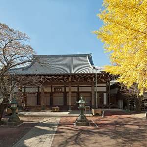 お寺から分けて頂いた江戸時代の引手 6枚 ☆神社 寺 古民家