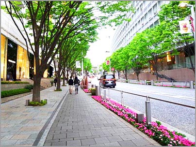 六本木けやき坂通り 港区観光協会 Visit Minato City 東京都港区の観光情報公式サイト