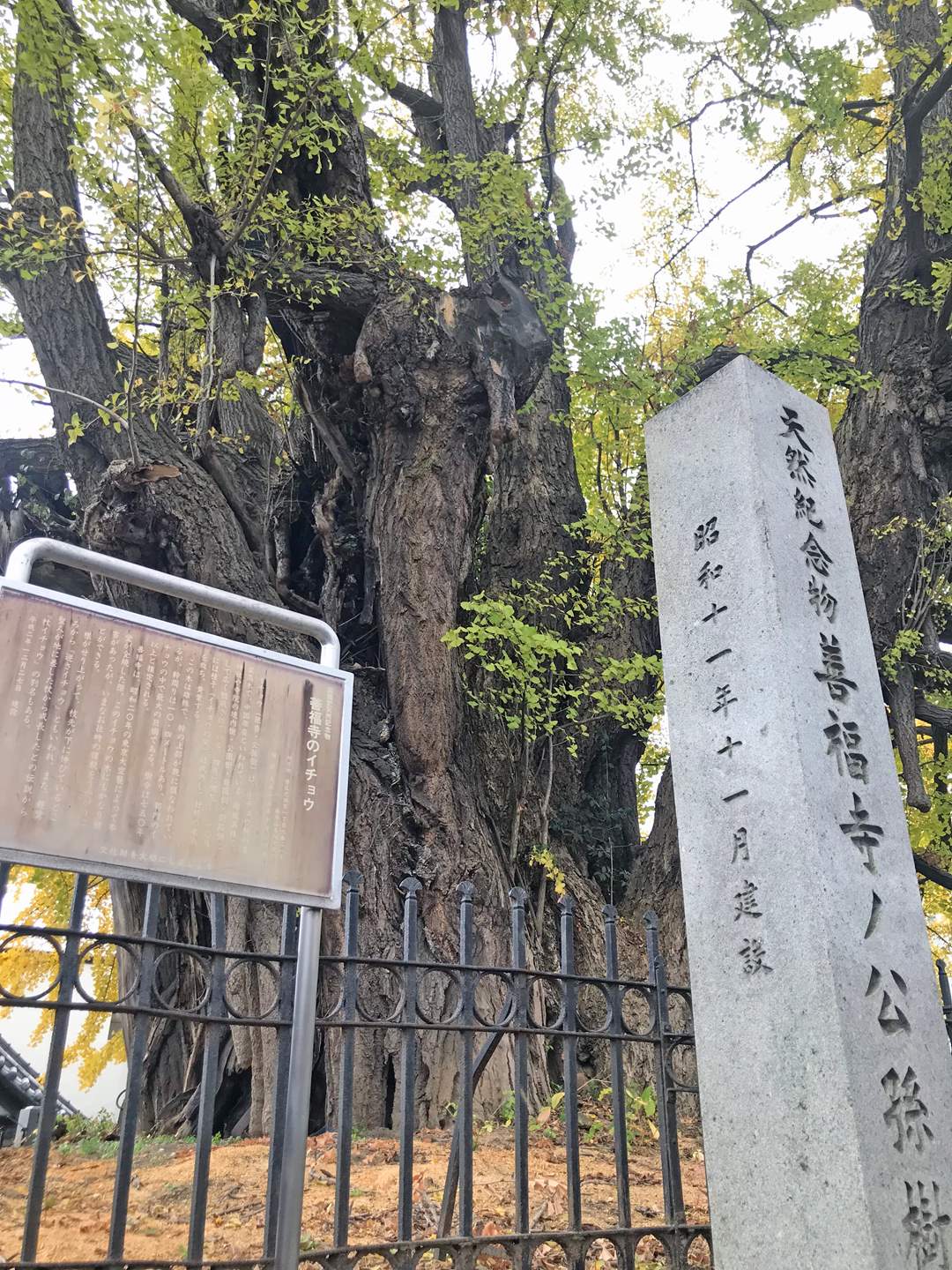 從江戶時代起就是高級住宅區 港區有眾多神社佛閣的原因 Visit Minato City 港區觀光協會