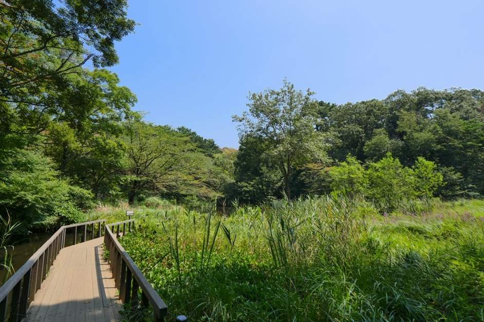癒しの森を散策してリフレッシュ！東京・白金台の自然教育園 | 港区観光協会 | VISIT MINATO CITY - 東京都港区の観光情報公式サイト
