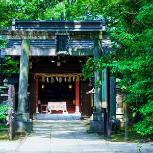 建物の見方・しらべ方/江戸時代の寺院と神社 建物の見方・しらべ方―江戸時代の寺院と神社 | 文化庁歴史的建造